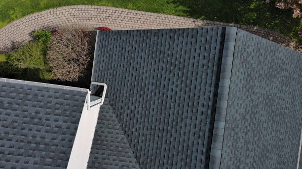 Best Green or Eco-Friendly Roofing Solutions  in USA